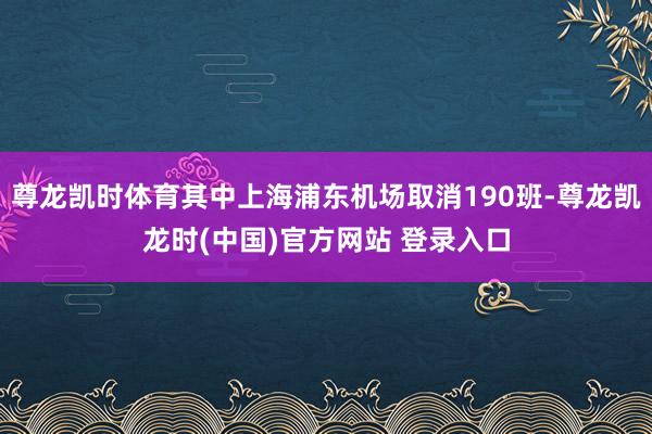 尊龙凯时体育其中上海浦东机场取消190班-尊龙凯龙时(中国)官方网站 登录入口