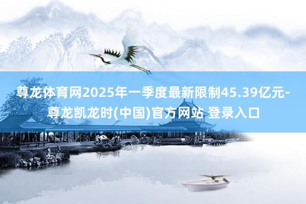 尊龙体育网2025年一季度最新限制45.39亿元-尊龙凯龙时(中国)官方网站 登录入口