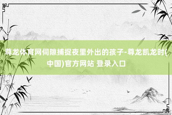 尊龙体育网伺隙捕捉夜里外出的孩子-尊龙凯龙时(中国)官方网站 登录入口
