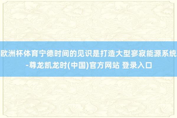 欧洲杯体育宁德时间的见识是打造大型寥寂能源系统-尊龙凯龙时(中国)官方网站 登录入口