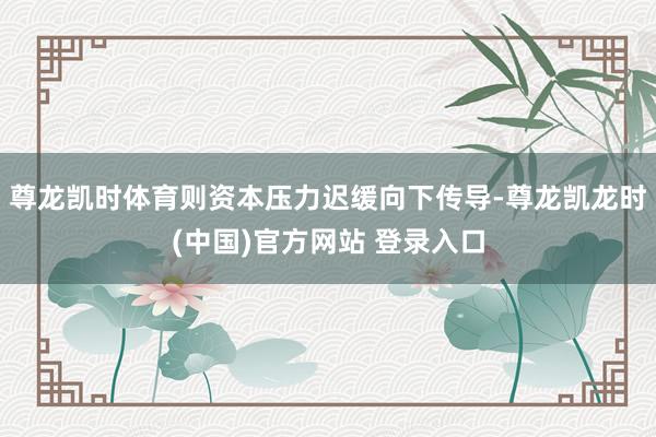 尊龙凯时体育则资本压力迟缓向下传导-尊龙凯龙时(中国)官方网站 登录入口