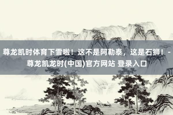 尊龙凯时体育下雪啦！这不是阿勒泰，这是石狮！-尊龙凯龙时(中国)官方网站 登录入口