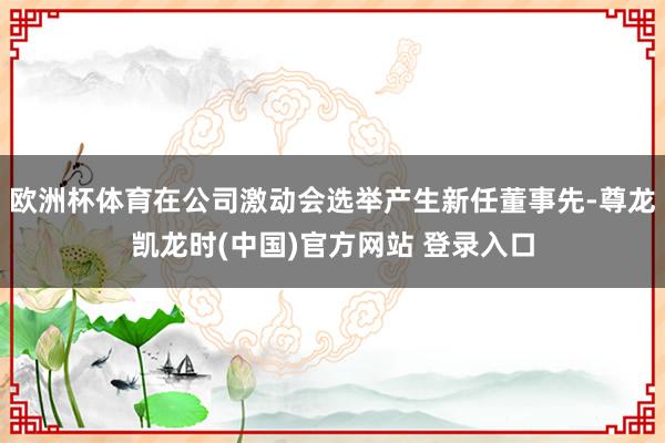 欧洲杯体育在公司激动会选举产生新任董事先-尊龙凯龙时(中国)官方网站 登录入口