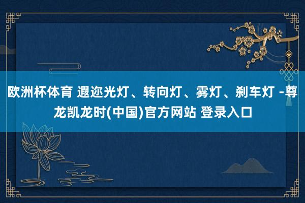 欧洲杯体育 遐迩光灯、转向灯、雾灯、刹车灯 -尊龙凯龙时(中国)官方网站 登录入口