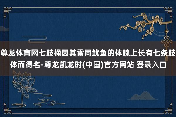 尊龙体育网七肢桶因其雷同鱿鱼的体魄上长有七条肢体而得名-尊龙凯龙时(中国)官方网站 登录入口