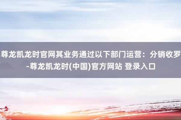 尊龙凯龙时官网其业务通过以下部门运营：分销收罗-尊龙凯龙时(中国)官方网站 登录入口