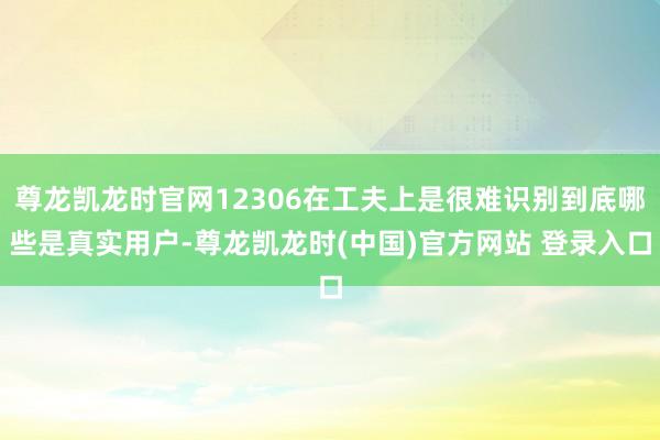 尊龙凯龙时官网12306在工夫上是很难识别到底哪些是真实用户-尊龙凯龙时(中国)官方网站 登录入口