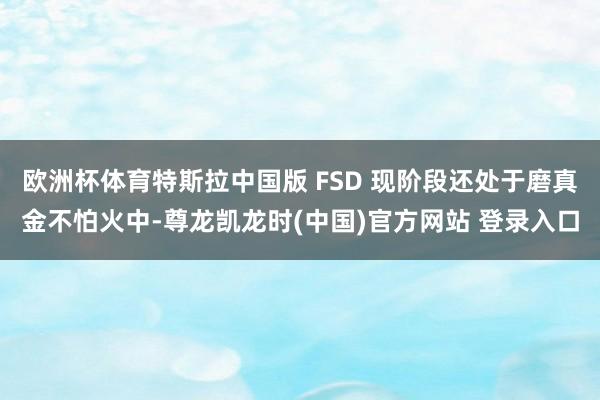 欧洲杯体育特斯拉中国版 FSD 现阶段还处于磨真金不怕火中-尊龙凯龙时(中国)官方网站 登录入口