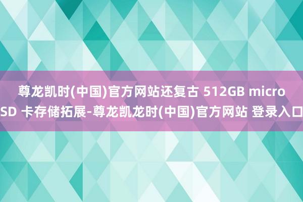 尊龙凯时(中国)官方网站还复古 512GB microSD 卡存储拓展-尊龙凯龙时(中国)官方网站 登录入口
